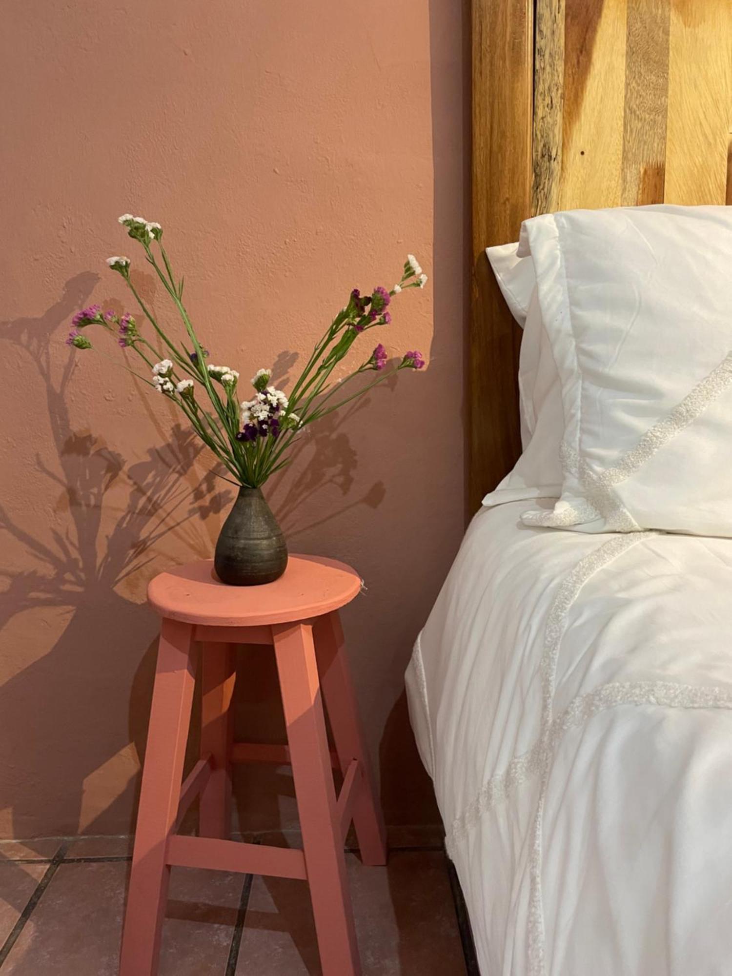 Cute Apart Excellently Located Apartment Oaxaca Luaran gambar